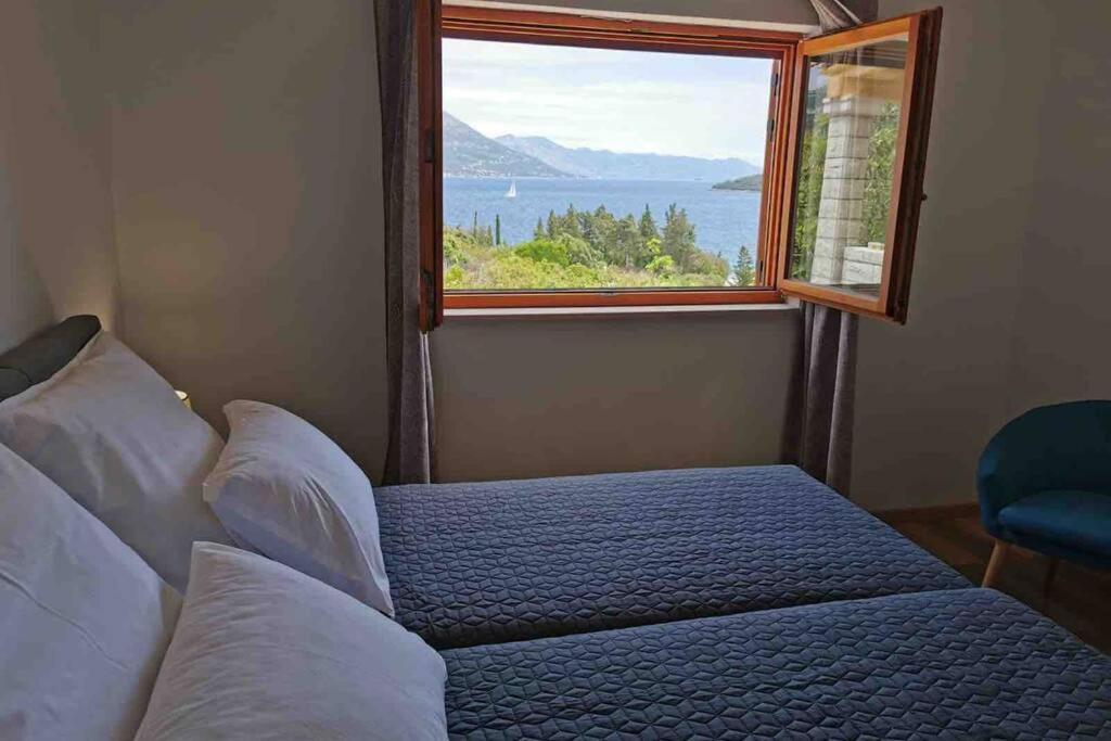 Deluxe Apartman “ Koromacna” Kneza Luaran gambar